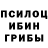 Галлюциногенные грибы Cubensis Elkha