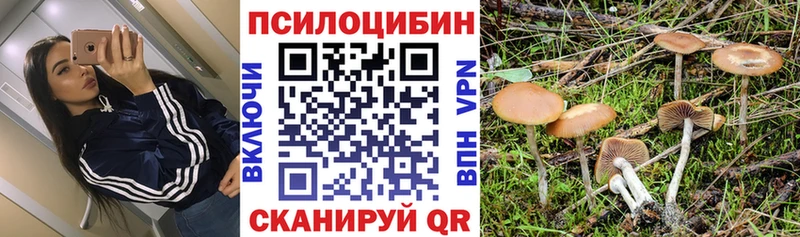 Псилоцибиновые грибы мухоморы Гуково