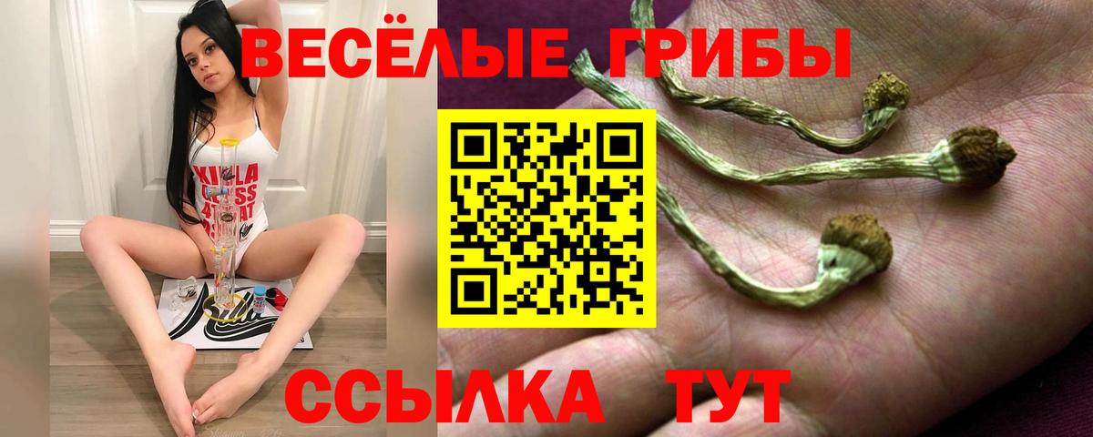Псилоцибиновые грибы Psilocybine cubensis Гуково
